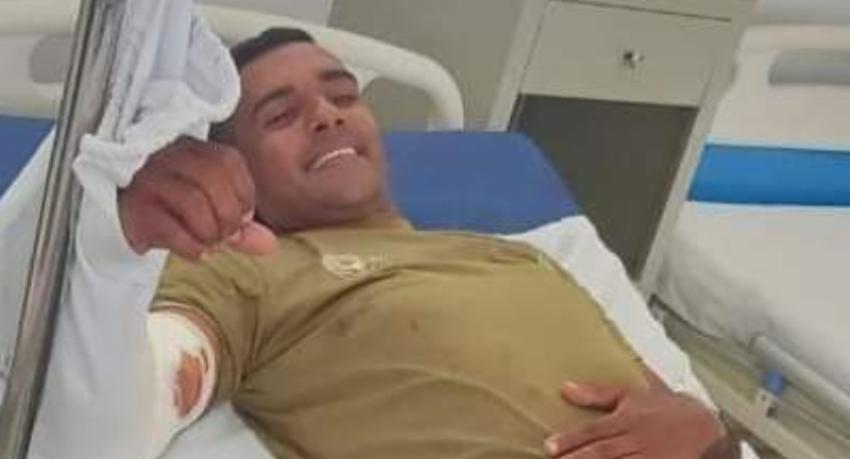 Wildlife Vet attacked by leopard trapped in snare